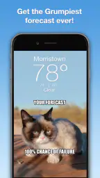 Grumpy Cat Weather 1