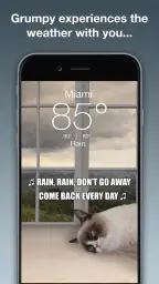 Grumpy Cat Weather 2