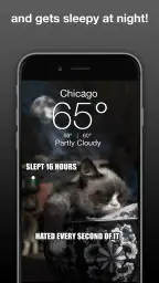 Grumpy Cat Weather 3