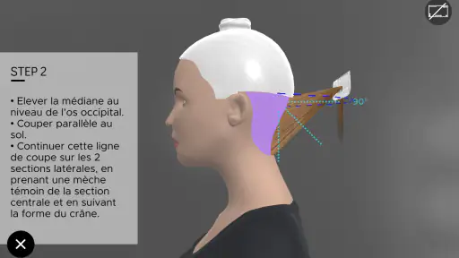 Hairteach 4