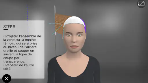 Hairteach 5