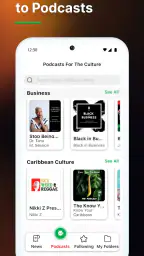Hayti: Black News and Podcasts 5