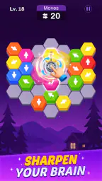 Hexout - Color Hexa Puzzle 2