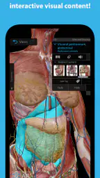 Human Anatomy Atlas 2025 1