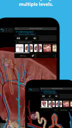 Human Anatomy Atlas 2025 2