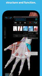 Human Anatomy Atlas 2025 3
