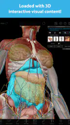 Human Anatomy Atlas 2025 6