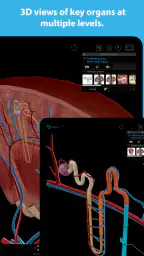 Human Anatomy Atlas 2025 7