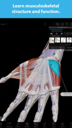 Human Anatomy Atlas 2025 8