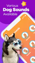 Human to Dog Translator 5