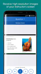 iClicker Student 4