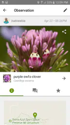 iNaturalist 1