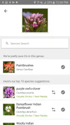 iNaturalist 2