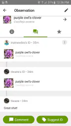 iNaturalist 4