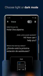 iTranslate Translator 7