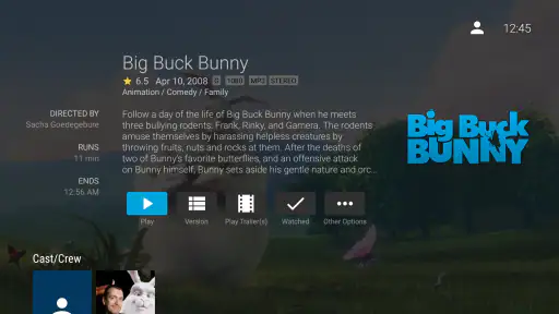 Jellyfin for Android TV 4