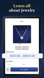 Jewelry Identifier Gem Scanner 7