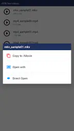 JS USB OTG 2