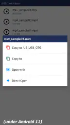 JS USB OTG 3