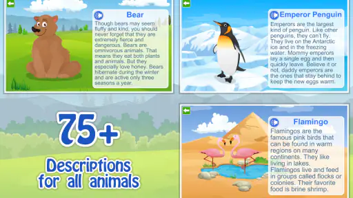 Kids Learn about  Animals 4