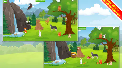 Kids Learn about  Animals 6