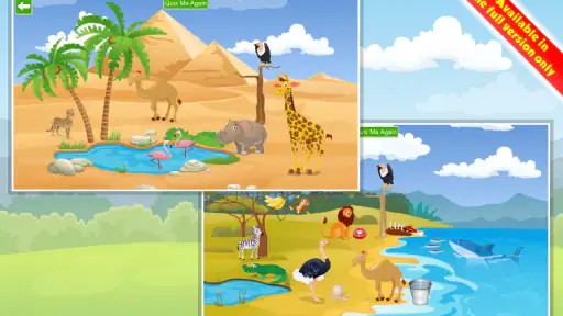 Kids Learn about  Animals 7