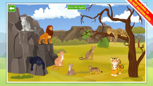 Kids Learn about  Animals 8
