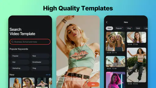 KineMaster - Video Editor 1