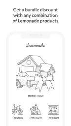 Lemonade Insurance 2