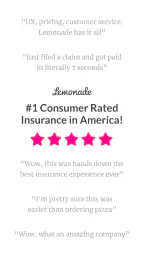 Lemonade Insurance 3