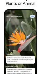 Lens AI & Reverse Image Search 2