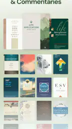 Life Application Study Bible 4