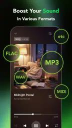 Lilt - Offline Music Player 4