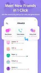 Litmatch—Make new friends 1