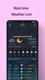 Local Weather Forecast - Radar 1