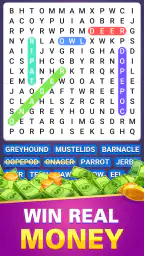 Make Money: Word Search 6