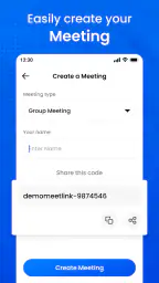 Meeting - Video Conference 8