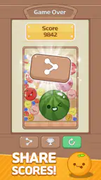 Melon Maker : Fruit Game 5