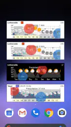 Meteogram - Donate 1