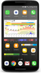 Meteogram Pro Weather Widget 2