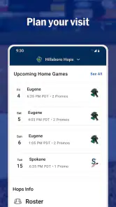 MiLB screenshot