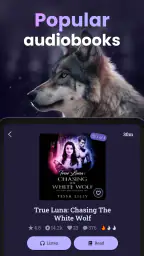 MoonLit - Werewolf Novels 8