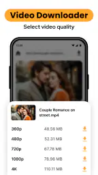 mp4 video downloader 2