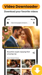 mp4 video downloader 8