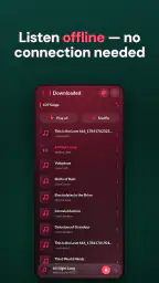 Music Downloader & Mp3 Player 3