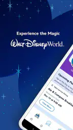 My Disney Experience 1