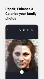 MyHeritage: Family Tree & DNA 7