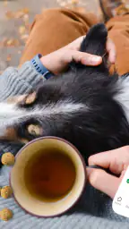 myPurina – Pet Rewards & Care 7