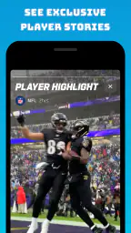 NFL Fantasy Football 2