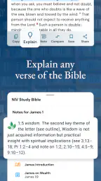 NIV Bible 5